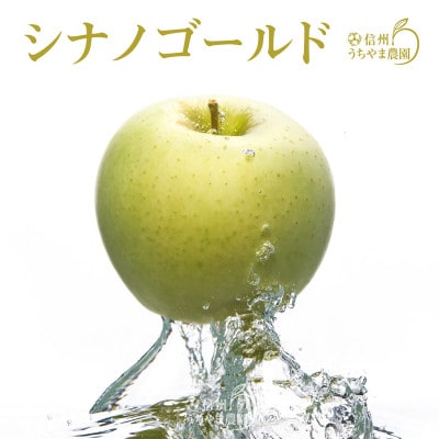 長野県産「シナノゴールド」 約3kg(約7～9個)★味の良い信州りんご