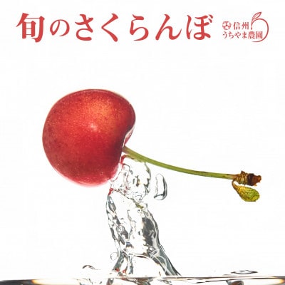 訳あり品　★長野県産「さくらんぼ」★　品種お任せ1kg　2025年6月上旬～7月上旬にかけて発送!