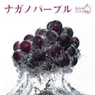 ナガノパープル 約1kg(2～4房)《信州うちやま農園》