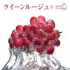クイーンルージュ(R)1房(450g以上の完全房)《信州うちやま農園》●2025年発送●