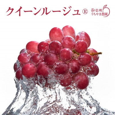 クイーンルージュ(R)約1kg(約2～3房)《信州うちやま農園》●2025年発送●