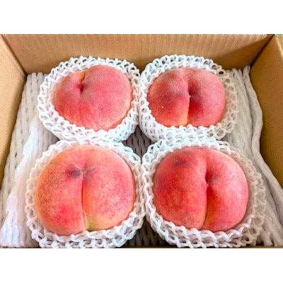 信州うちやま農園の旬の桃　大玉4個(計約1.2kg)(白鳳、又は白桃系品種)