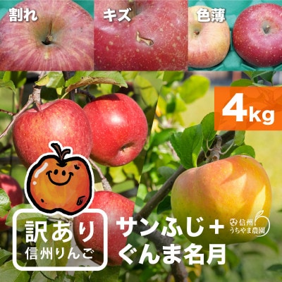 味が一番!★訳ありサンふじ&訳ありぐんま名月★4kg　信州りんご詰合わせ(食べ比べセット)