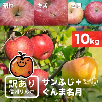 味が一番!★訳ありサンふじ&訳ありぐんま名月★10kg　信州りんご詰合わせ(食べ比べセット)
