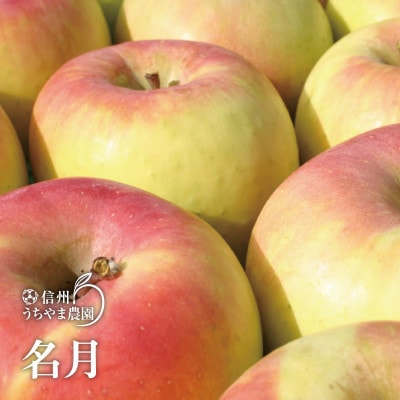 味が一番!★訳ありサンふじ&訳ありぐんま名月★10kg　信州りんご詰合わせ(食べ比べセット)