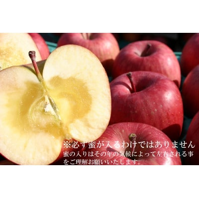 味が一番!★訳ありサンふじ&訳ありぐんま名月★10kg　信州りんご詰合わせ(食べ比べセット)