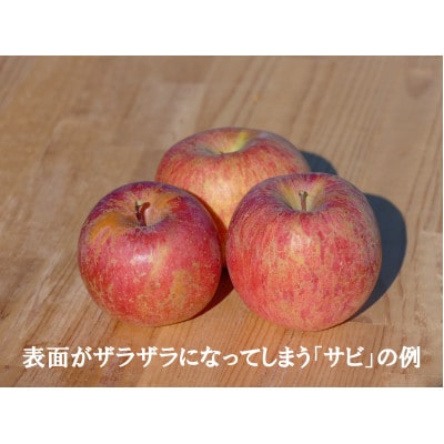 味が一番!★訳ありサンふじ&訳ありぐんま名月★10kg　信州りんご詰合わせ(食べ比べセット)