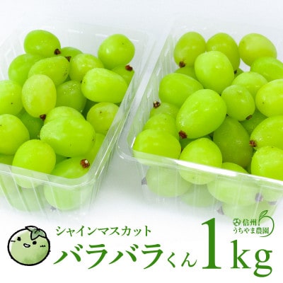 【2025年11月より発送予定】信州うちやま農園の冷蔵シャインマスカット(バラバラくん) 1kg