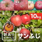 味が一番!信州りんご★サンふじ★10kg　訳あり品