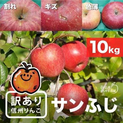 味が一番!信州りんご★サンふじ★10kg　訳あり品