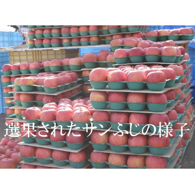 味が一番!信州りんご★サンふじ★10kg　訳あり品