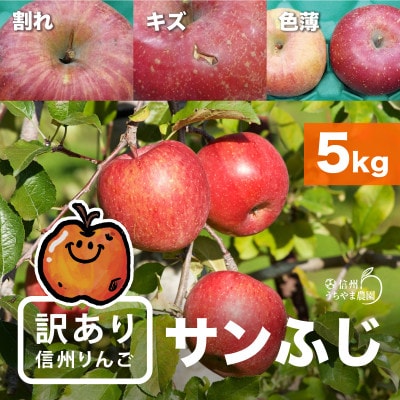 味が一番!信州りんご★サンふじ★5kg　訳あり品