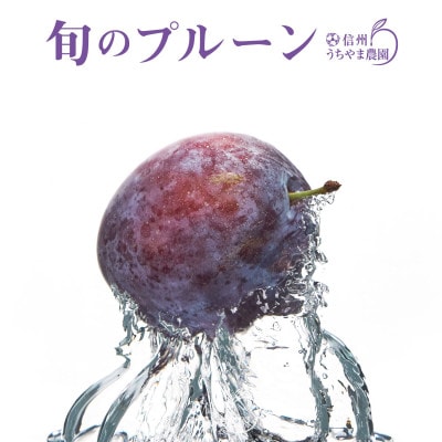 美容・健康に!【長野県産】★旬のプルーン ★1kg【7月中旬～9月上旬 発送予定】