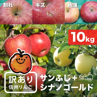 味が一番!信州りんご★サンふじ&シナノゴールド★計10kg　訳ありりんご詰合わせ(食べ比べセット)　