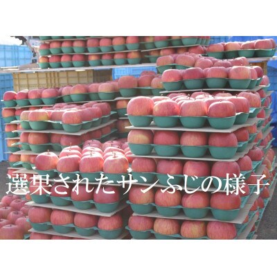 味が一番!信州りんご★サンふじ&シナノゴールド★計10kg　訳ありりんご詰合わせ(食べ比べセット)　