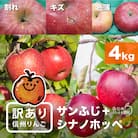 味が一番!信州りんご★サンふじ&シナノホッペ★ 計4kg　訳ありりんご詰合わせ(食べ比べセット)