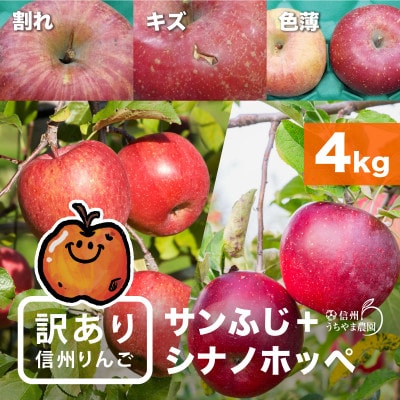 味が一番!信州りんご★サンふじ&シナノホッペ★ 計4kg　訳ありりんご詰合わせ(食べ比べセット)