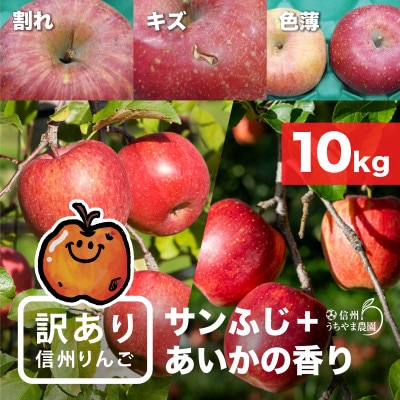 味が一番!信州りんご★サンふじ&あいかの香り★10kg　訳ありりんご詰合わせ(食べ比べセット)