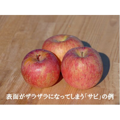 味が一番!信州りんご★サンふじ&あいかの香り★10kg　訳ありりんご詰合わせ(食べ比べセット)