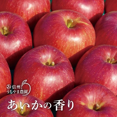 味が一番!信州りんご★サンふじ&あいかの香り★10kg　訳ありりんご詰合わせ(食べ比べセット)