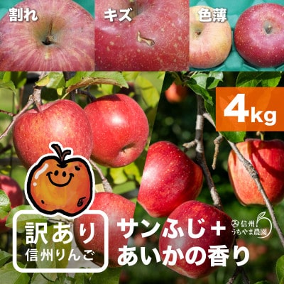 味が一番!信州りんご★サンふじ&あいかの香り★ 計4kg　訳ありりんご詰合わせ(食べ比べセット)