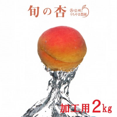 長野県産★杏(あんず) 「加工用・ジャム用」2kg　手作り杏仁豆腐のレシピ付き!