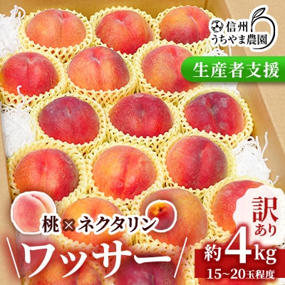 【訳あり】ワッサー(ピーチワッサー)約4kg　桃×ネクタリンの掛け合わせ
