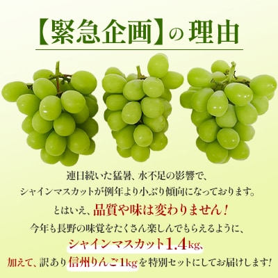 【緊急企画】長野県産 シャインマスカット1.4kg + 信州りんご(訳あり)1kg　計2.4kg