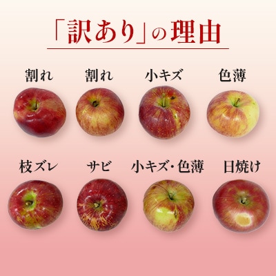 【緊急企画】長野県産 シャインマスカット1.4kg + 信州りんご(訳あり)1kg　計2.4kg