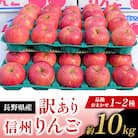 【訳あり】長野県産 りんご 約10kg 品種おまかせ(1~2種)シナノスイート・名月・サンふじ等