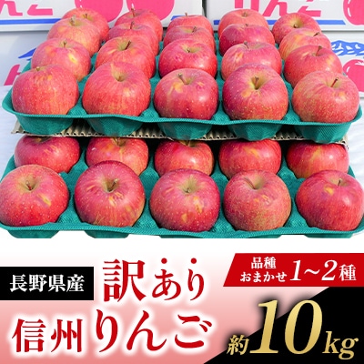 【訳あり】長野県産 りんご 約10kg　品種おまかせ(1～2種)シナノスイート・名月・サンふじ等