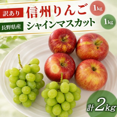長野県産 シャインマスカット(2房～3房)1kg+信州りんご(訳あり)1kg　計2kg