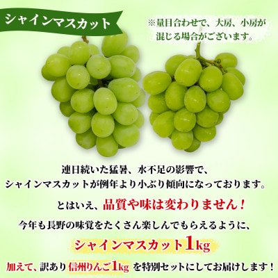 長野県産 シャインマスカット(2房～3房)1kg+信州りんご(訳あり)1kg　計2kg