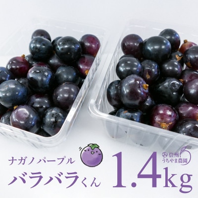 (訳あり)信州うちやま農園のナガノパープル(バラバラ君)　1.4kg　●2026年発送●