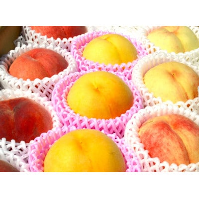 【長野県産】3色(3種)桃セット2kg　★白桃★白鳳★黄金桃★ワッサー等
