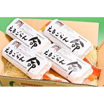 ちゃたまや　えるごらん命10ヶ入×4P
