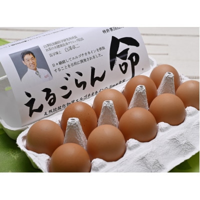 ちゃたまや　えるごらん命10ヶ入×4P