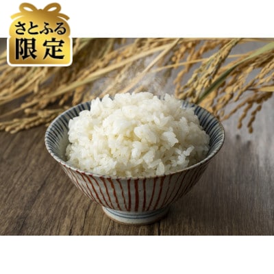 【さとふる限定】【令和7年産先行予約】長野県産 風さやか米 精米 3kg