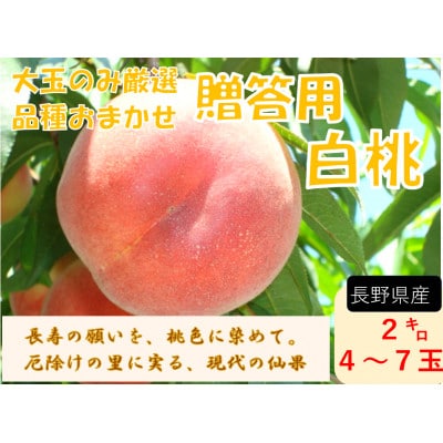 【2026年発送】【長野県】【信州】【白桃】【贈答用】【秀】品種おまかせ2kg (4～7玉)