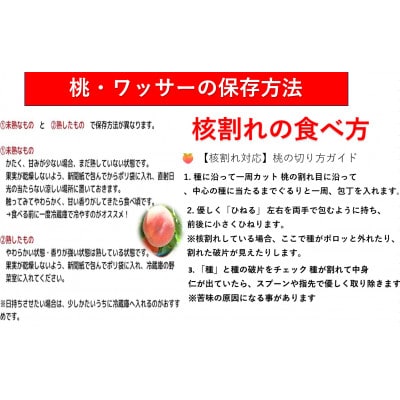 【2026年発送】【長野県】【信州】【白桃】【贈答用】【秀】品種おまかせ2kg (4～7玉)