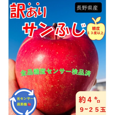 2026年発送【訳あり】長野県産りんご「サンふじ」高糖度(平均糖度13度以上)4kg(家庭用)