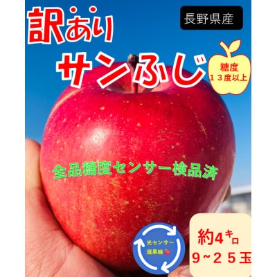 2026年発送　訳あり　長野県産　りんご　サン　ふじ高糖度(平均糖度13度以上)4kg11月下旬頃~