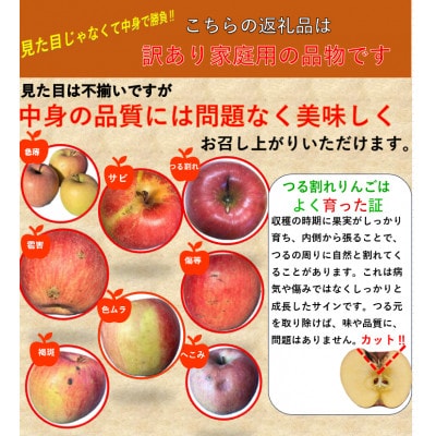 2026年発送【訳あり】長野県産りんご「サンふじ」高糖度(平均糖度13度以上)4kg(家庭用)