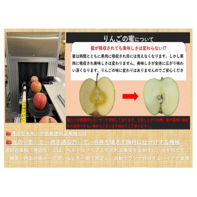 2026年発送【訳あり】長野県産りんご「サンふじ」高糖度(平均糖度13度以上)4kg(家庭用)