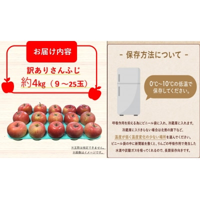 2026年発送【訳あり】長野県産りんご「サンふじ」高糖度(平均糖度13度以上)4kg(家庭用)