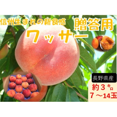 【2026年発送】フルーツ果物王国　長野県信州直送　ワッサー　約3kg【秀品】【贈答品】