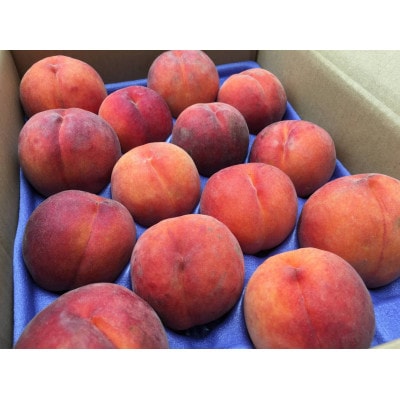 【2026年発送】フルーツ果物王国　長野県信州直送　ワッサー　約3kg【秀品】【贈答品】