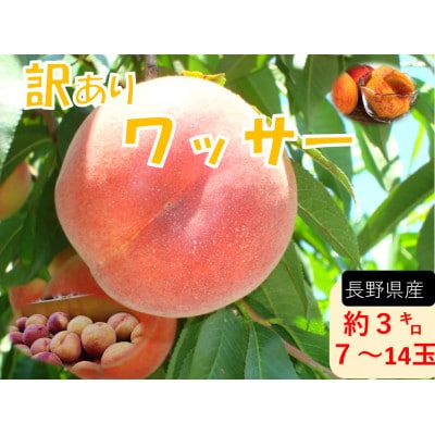 【2026年発送】フルーツ果物王国　長野県信州直送『訳あり』『家庭用』　ワッサー　約3kg