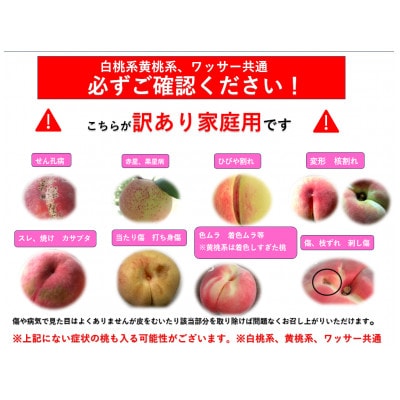 【2026年発送】フルーツ果物王国　長野県信州直送『訳あり』『家庭用』　ワッサー　約3kg