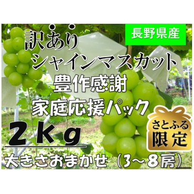 【さとふる限定】2026年発送 長野産 訳ありシャインマスカット 2kg 期間限定